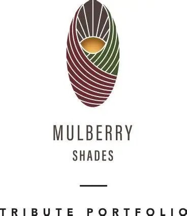 Mulberry Shades — Tribute Portfolio